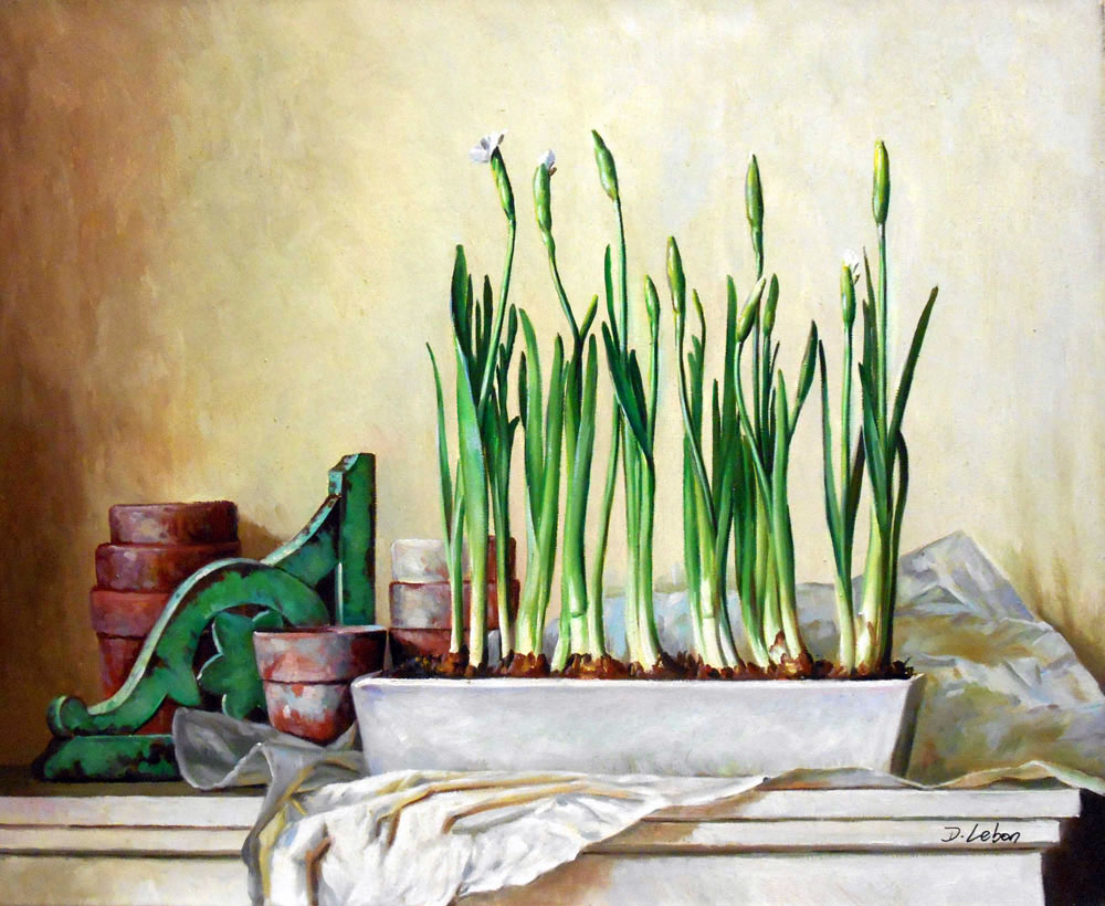 nature morte/50cm x 61cm /1346-T2